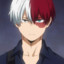 [Japan]Shoto Todoroki