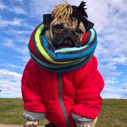 G2 Esports HooXi  呼吸之神