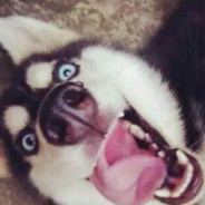 多给我蓝胖一个面子。