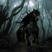 帅比黑马一个打俩QVQ