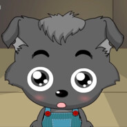 小灰灰