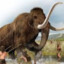 Mammoth