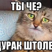 ДАЖЕ БОМЖ