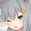 hdxzgyp