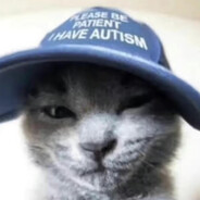 The FitnessGram™ Pacer Test