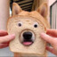Corgi
