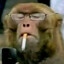 Per Se Monky