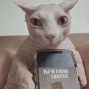 Анальный хамяк