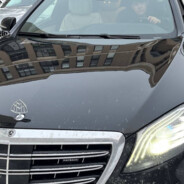 Болодька чёткий 52