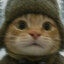 gaijin