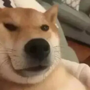 宇宙无敌暴龙战神