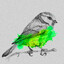 Spezop