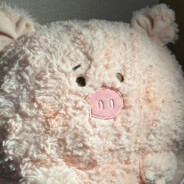 魔镜魔镜告诉我有病