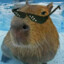 lida con esto capybara
