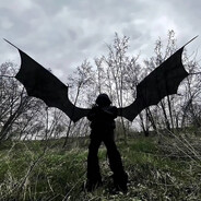 k0aaalla - steam id 76561198866354813