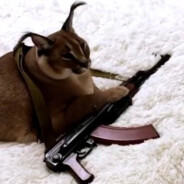 Caracal de AK