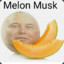 MelonMusk