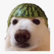 sebastiancarrillo138