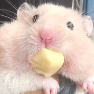 嘻嘻，我一定要活下去