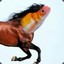 A Fishhorse