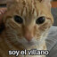 Salky