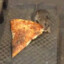NYC Pizza Rat (Brimless) (RARE)