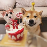 要什么自行车啊