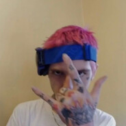 trapgoosey avatar