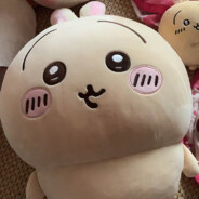 大明湖畔的咸鱼