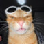 МАШКА ХОМЯК's avatar