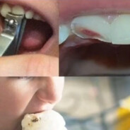 爱莉希雅世界第一可爱