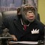 president monkey