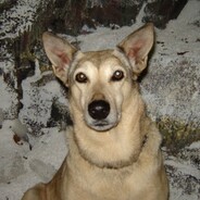 fatiga
