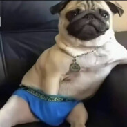 奥特曼睡奥特曼