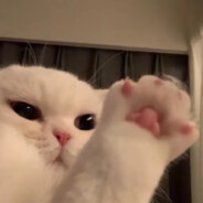 55岁退休帮孙女玩