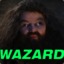 Harry the Wazard