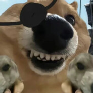 今夜年愁未到乡