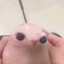 bingus schmungus