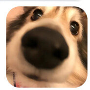 比你想象还笃定