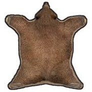 Bear rug