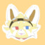 Bili_锌其