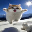 Котик