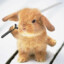 Doom Bunny