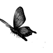 rayzou死 - steam id 76561198793796701