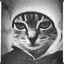 Mr.Cat_In_Hat