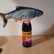dernixxco