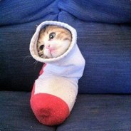 инна николаевна