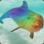 rainbow dolphin