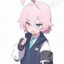 小鳥遊 ホシノ