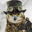 Owl_Engineering